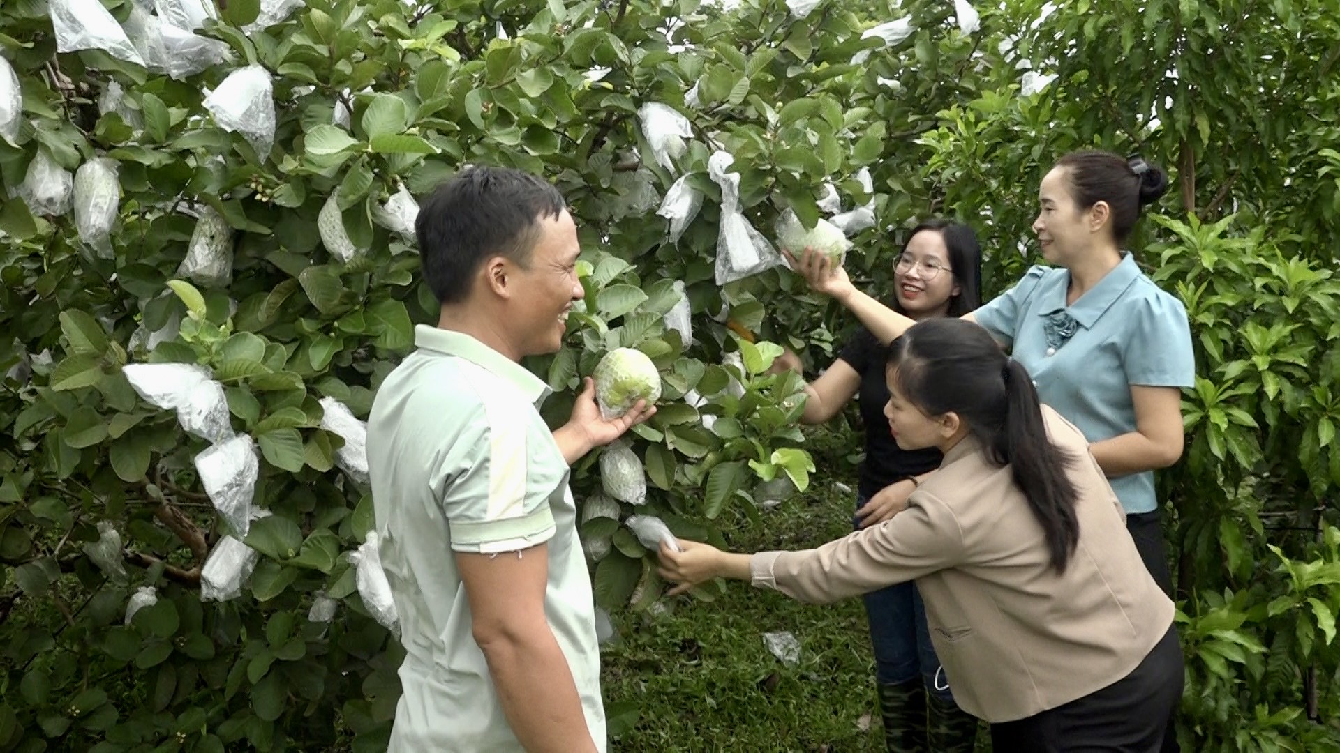 Hội Nông dân huyện Ea Súp thiết thực triển khai các phong trào thi đua